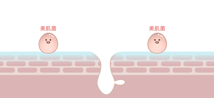 gif.gif