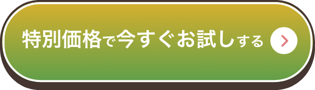 　特別価格で今すぐお試しする