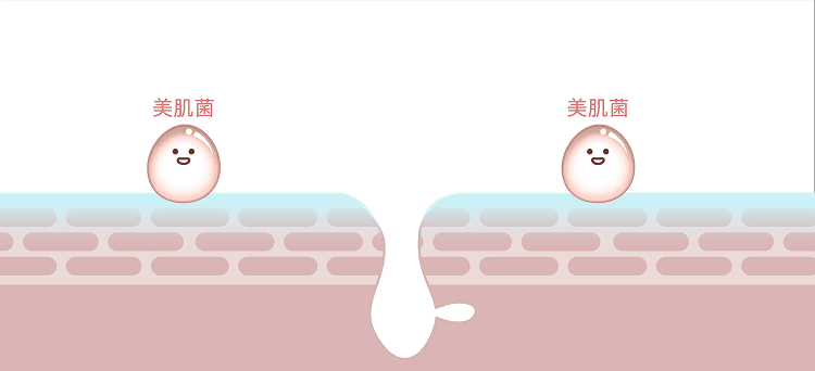gif.gif